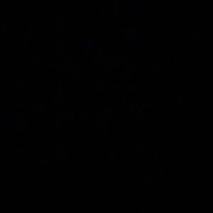 Meet your Posher, Mariam